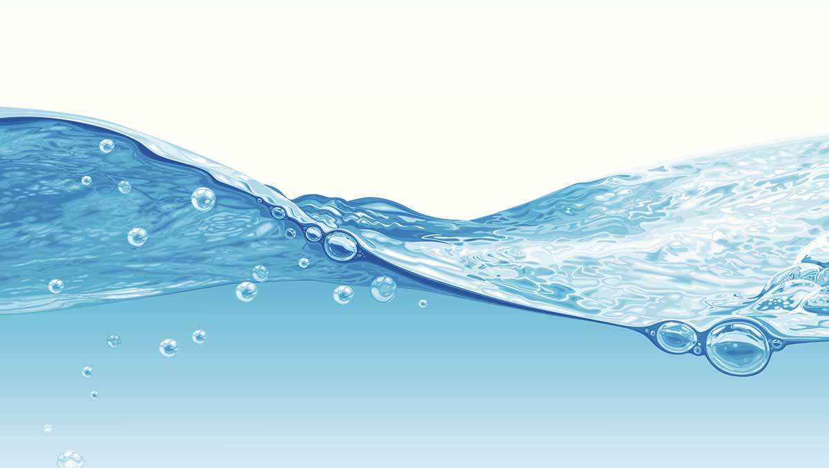 Salacoa Water System Consumer Confidence Report